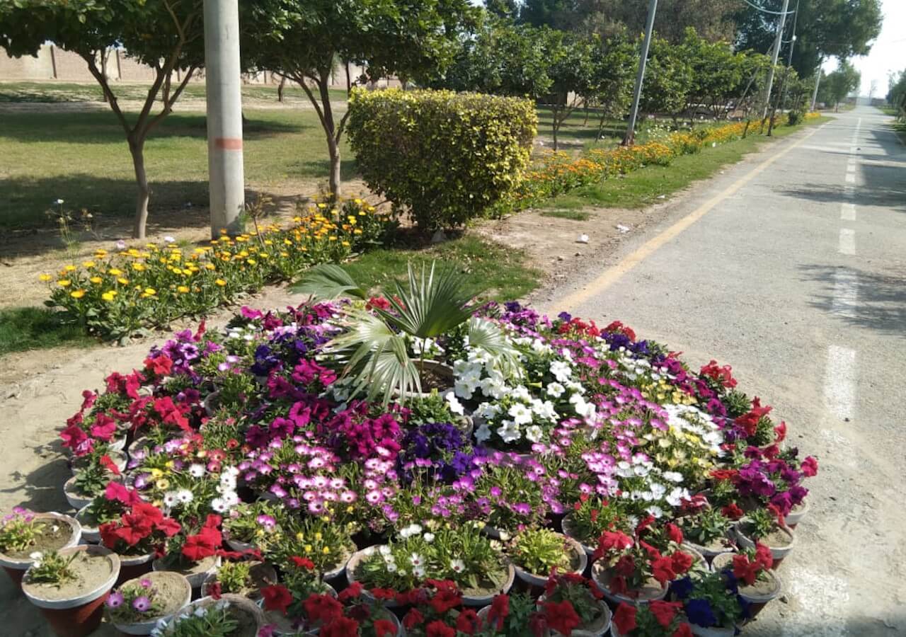 A diverse group of university students actively participating in a lecture, engaging with the professor.